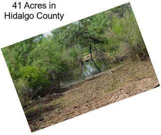 41 Acres in Hidalgo County