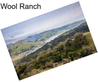 Wool Ranch