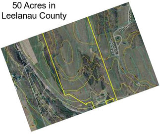 50 Acres in Leelanau County