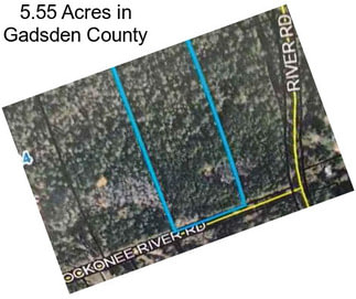 5.55 Acres in Gadsden County