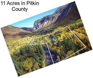 11 Acres in Pitkin County