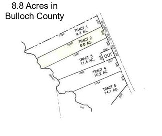 8.8 Acres in Bulloch County