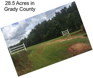 28.5 Acres in Grady County
