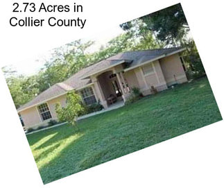 2.73 Acres in Collier County