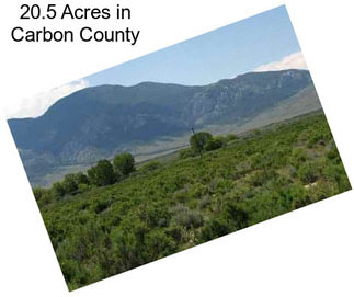 20.5 Acres in Carbon County