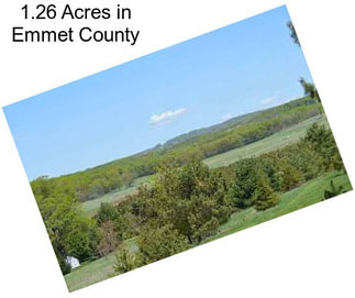 1.26 Acres in Emmet County