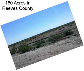160 Acres in Reeves County