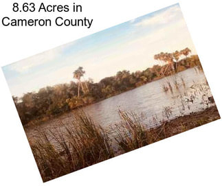 8.63 Acres in Cameron County