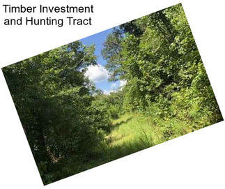 Timber Investment and Hunting Tract