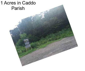 1 Acres in Caddo Parish