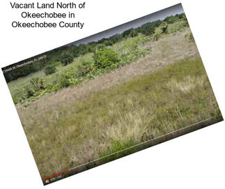 Vacant Land North of Okeechobee in Okeechobee County