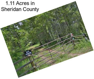 1.11 Acres in Sheridan County