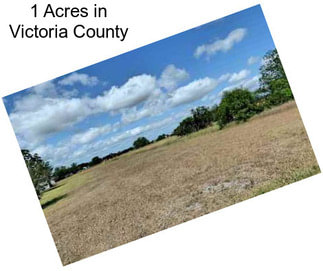 1 Acres in Victoria County