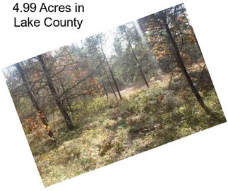 4.99 Acres in Lake County