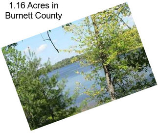 1.16 Acres in Burnett County
