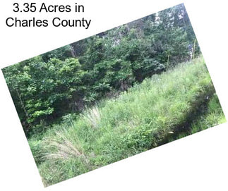 3.35 Acres in Charles County