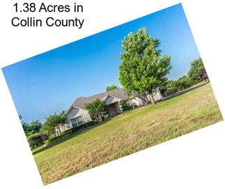 1.38 Acres in Collin County