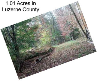 1.01 Acres in Luzerne County
