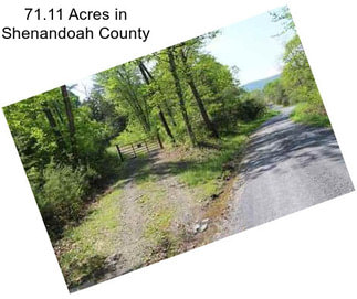 71.11 Acres in Shenandoah County