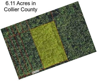 6.11 Acres in Collier County