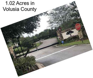 1.02 Acres in Volusia County