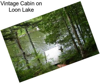 Vintage Cabin on Loon Lake