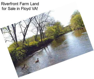 Riverfront Farm Land for Sale in Floyd VA!