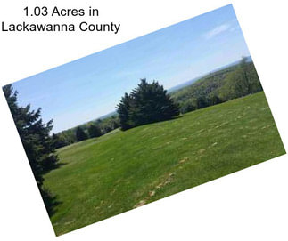 1.03 Acres in Lackawanna County