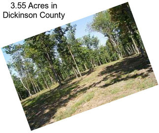 3.55 Acres in Dickinson County