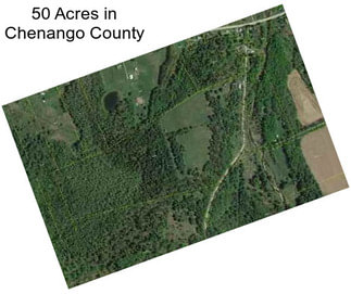 50 Acres in Chenango County