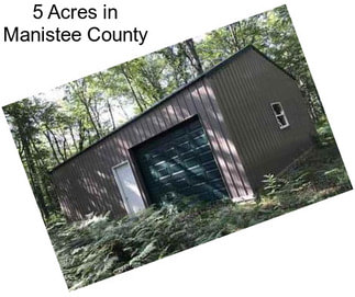 5 Acres in Manistee County