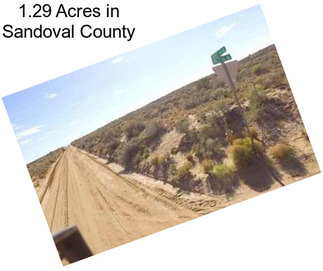 1.29 Acres in Sandoval County