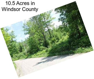 10.5 Acres in Windsor County
