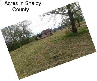 1 Acres in Shelby County