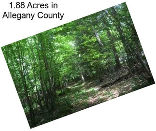 1.88 Acres in Allegany County