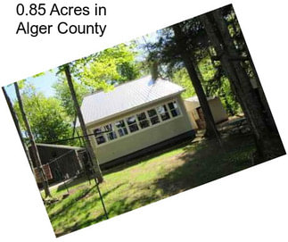 0.85 Acres in Alger County