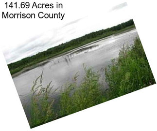 141.69 Acres in Morrison County