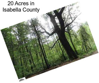 20 Acres in Isabella County