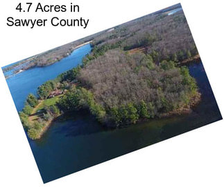 4.7 Acres in Sawyer County