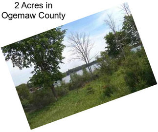 2 Acres in Ogemaw County