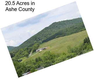 20.5 Acres in Ashe County