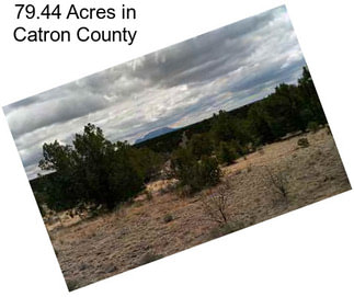 79.44 Acres in Catron County