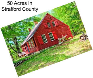 50 Acres in Strafford County
