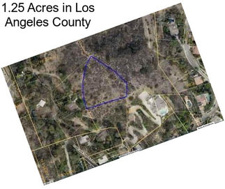 1.25 Acres in Los Angeles County