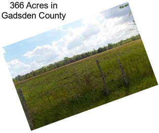 366 Acres in Gadsden County