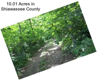 10.01 Acres in Shiawassee County