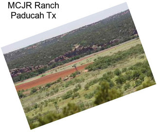 MCJR Ranch Paducah Tx
