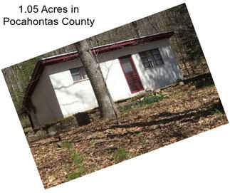 1.05 Acres in Pocahontas County