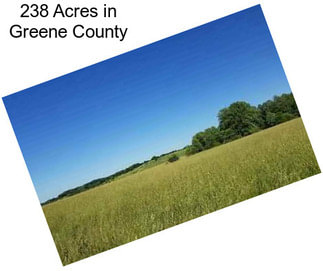 238 Acres in Greene County