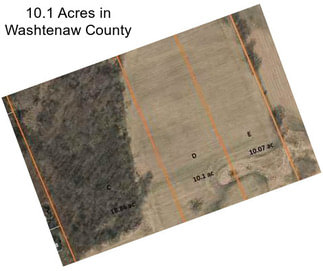 10.1 Acres in Washtenaw County